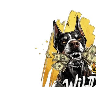 Vordergrund der Wild-Spiele-Aktion auf der Casino-Seite